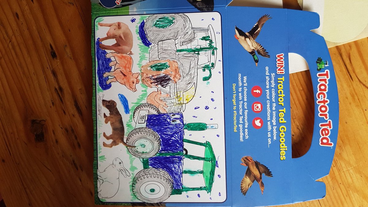 protonproton's tweet photo. #TractorTed Toby (6) would like you to see his rainy day Tractor Ted colouring and be entered into the colouring competition. https://t.co/DZn1arm60h
