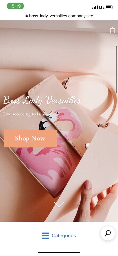 B_Modiga's tweet image. Please support my small business
Handbags - Sunglasses - Hair - Jewellery 

boss-lady-versailles.company.site