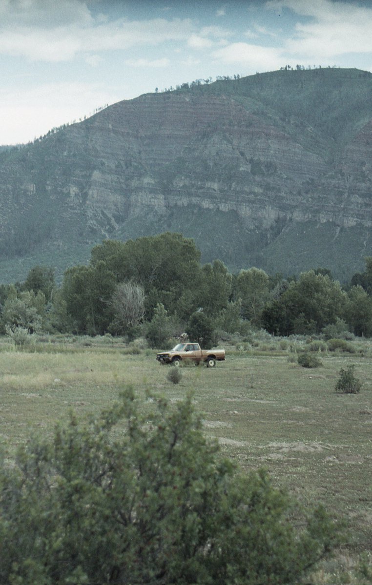 alex takes fotos tweet media