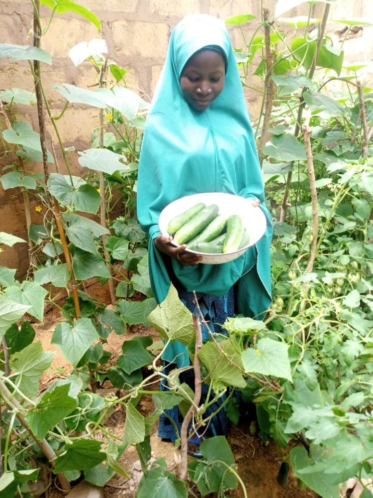 One of our trained home farmers with her cucumber harvest. With financial support from <a href="/FranceInNigeria/">Ambassade de France au Nigéria</a>, women in Dundaye village can now grow food at their backyards to help the family. #womenempowerment #agriculture #agroforestry <a href="/IFAD/">International Fund for Agricultural Development</a> <a href="/EUinNigeria/">EU in Nigeria 🇪🇺🇳🇬</a> <a href="/BEinNigeria/">Belgium in Nigeria 🇧🇪🇳🇬</a> <a href="/FAO/">Food and Agriculture Organization</a> <a href="/UNCCD/">UN Land and Drought</a> <a href="/UN/">United Nations</a>