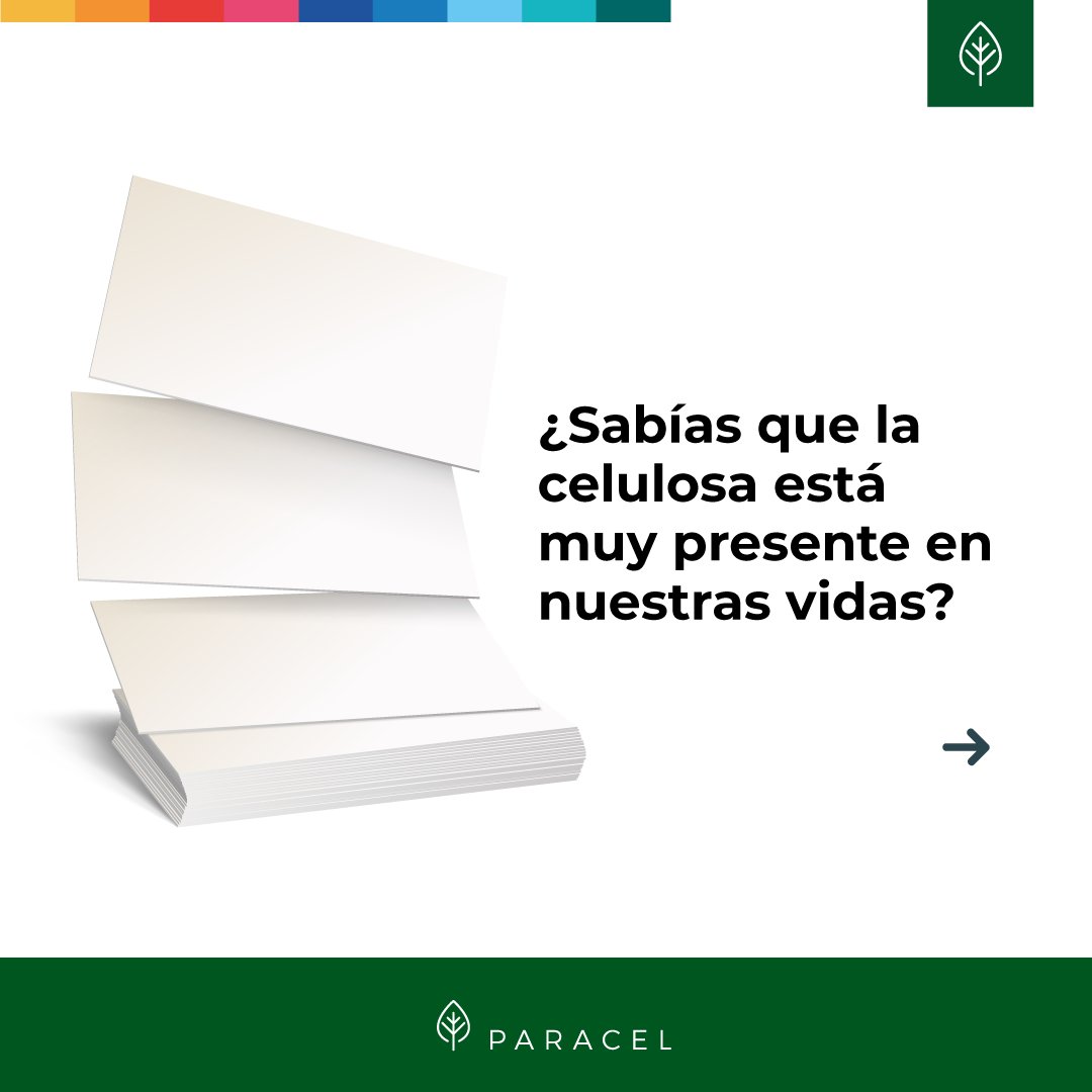 paracelpy's tweet photo. La celulosa es la materia prima de muchos productos que están presentes diariamente en nuestras vidas, hoy queremos que conozcas algunos de ellos🌱🙌🏻 https://t.co/9R6zZav8LG
