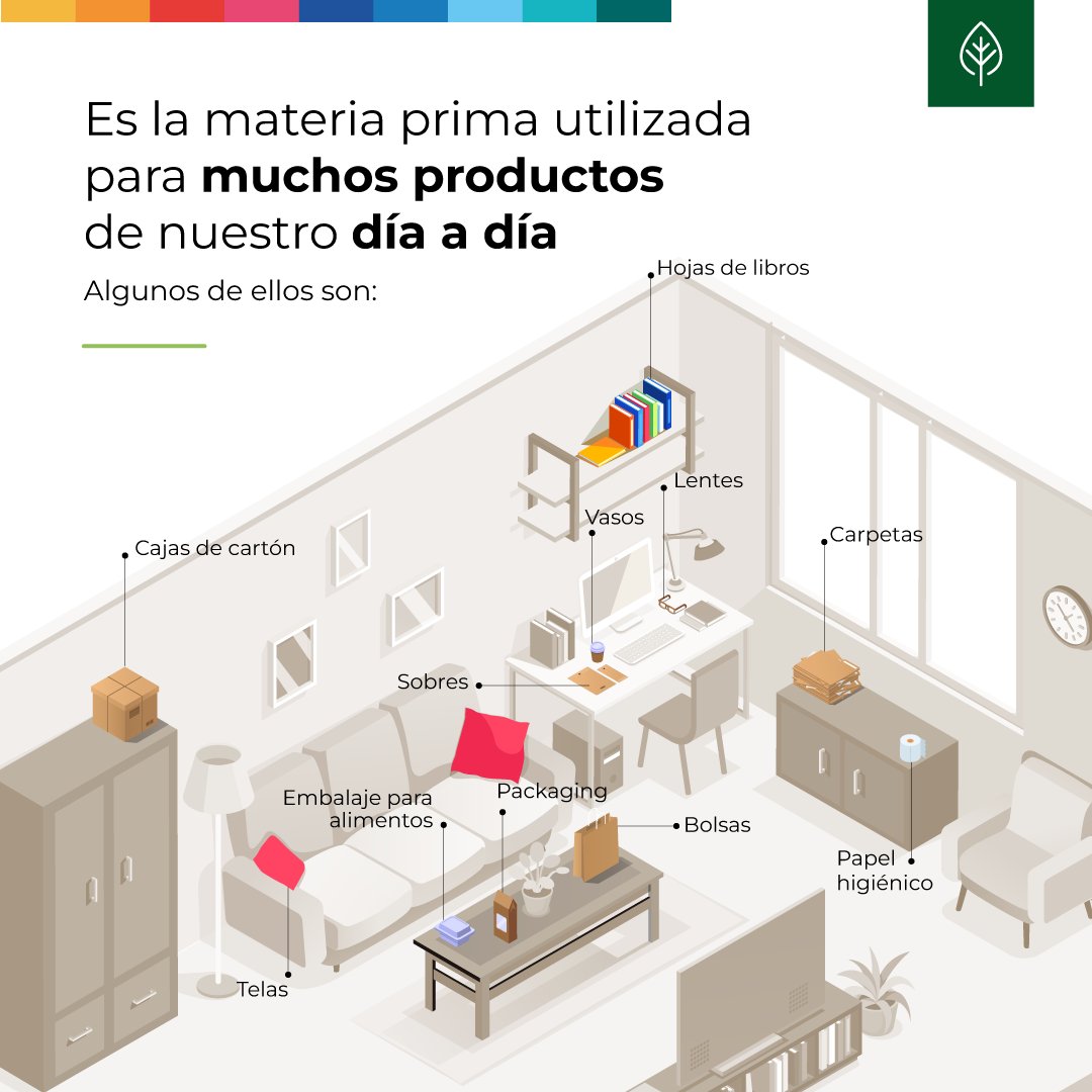 paracelpy's tweet photo. La celulosa es la materia prima de muchos productos que están presentes diariamente en nuestras vidas, hoy queremos que conozcas algunos de ellos🌱🙌🏻 https://t.co/9R6zZav8LG