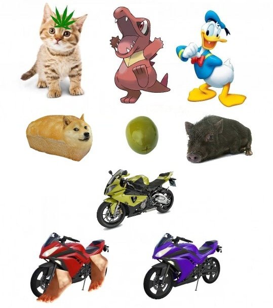 Azul_Oak's tweet photo. Los Pokémon de Escarlata y Púrpura be like: https://t.co/GJ7hlYFfcF