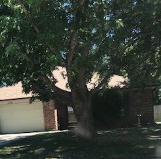 grannysidney's tweet photo. The house with the trash is priced for more money?? Roof is 27 years old.  I trust realtors as much as used car salesmen. Getting low balled on my home and renting an apartment will be expensive. Old age sucks. https://t.co/FdLZWex6mI