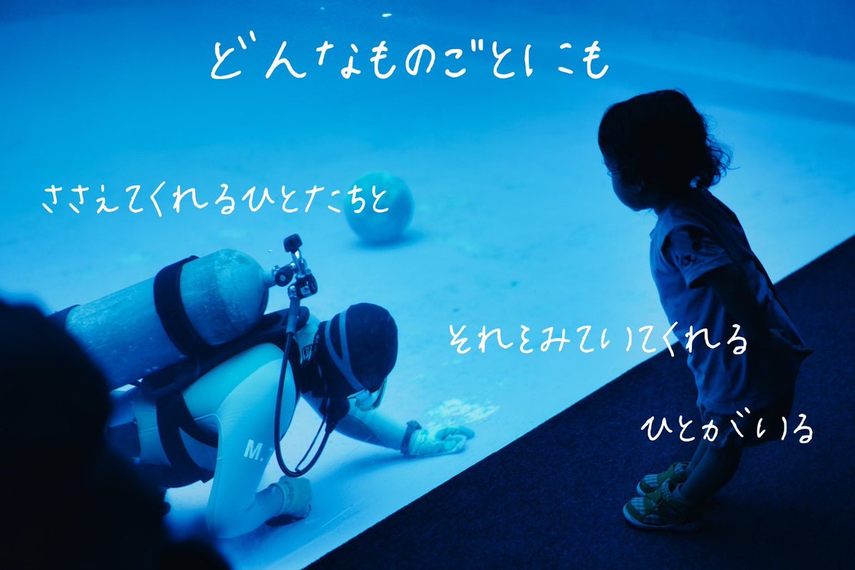 のらりくらり (@toaru_grapher) on Twitter photo 