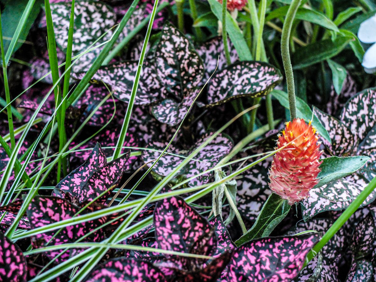 Le Refuge - délégation régionale BFC tweet media