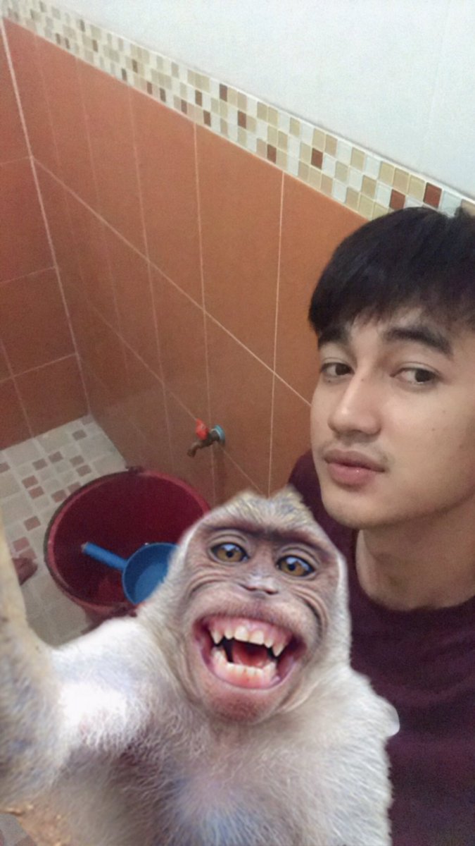 แมวขนสีรุ้ง tweet media