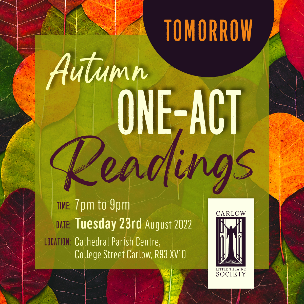 CarlowLittleTheatre tweet media