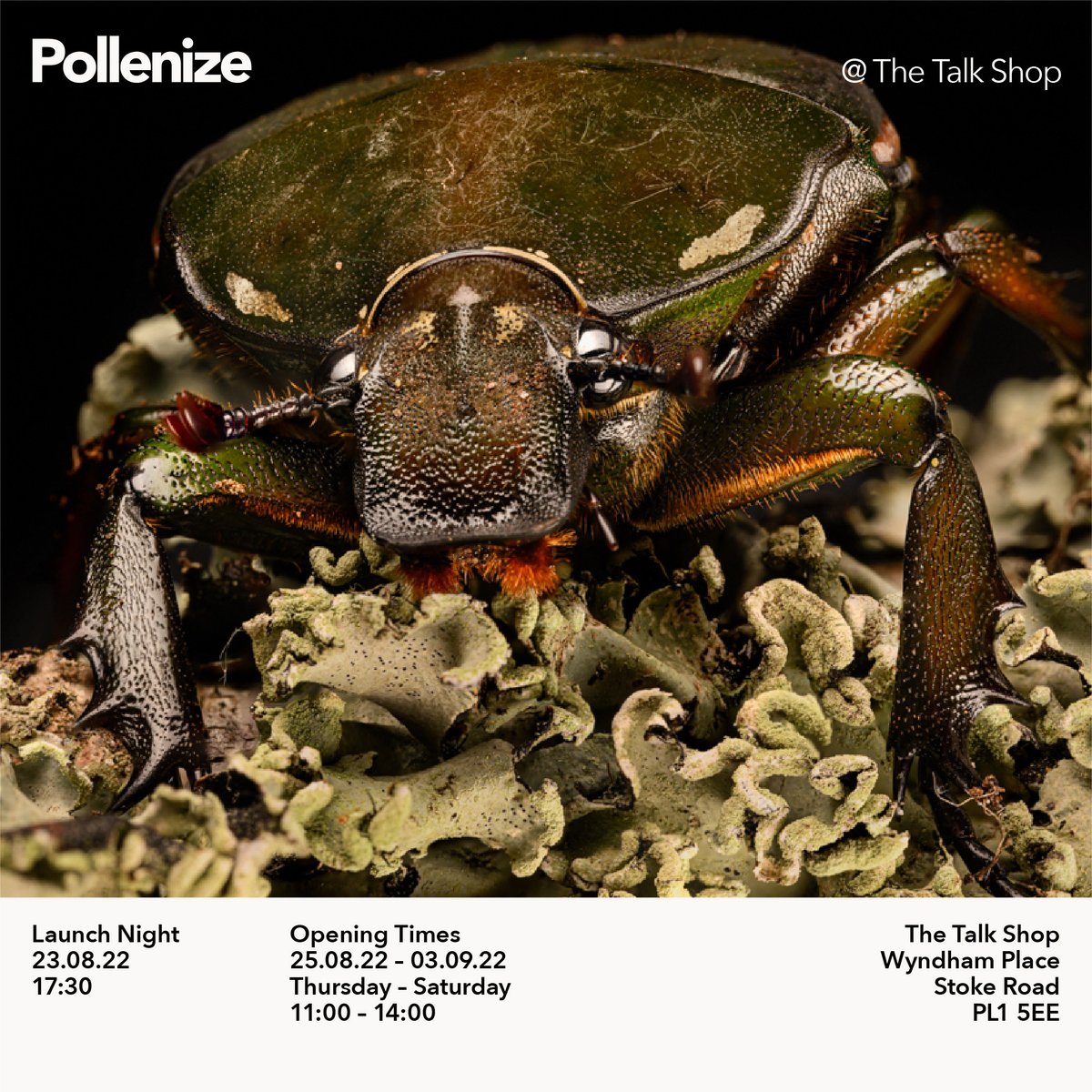 PollenizeCIC's tweet photo. ✨LAUNCH NIGHT TOMORROW✨
We're launching our photo exhibition tomorrow at #TheTalkShop in Stonehouse! Come + step into our world through the camera lens of the amazing Chris Parkes...there will be refreshments + FREE seed packets available too! 🍷🍺🌼 #Plymouth #pollinators https://t.co/ub5j6P4LM0