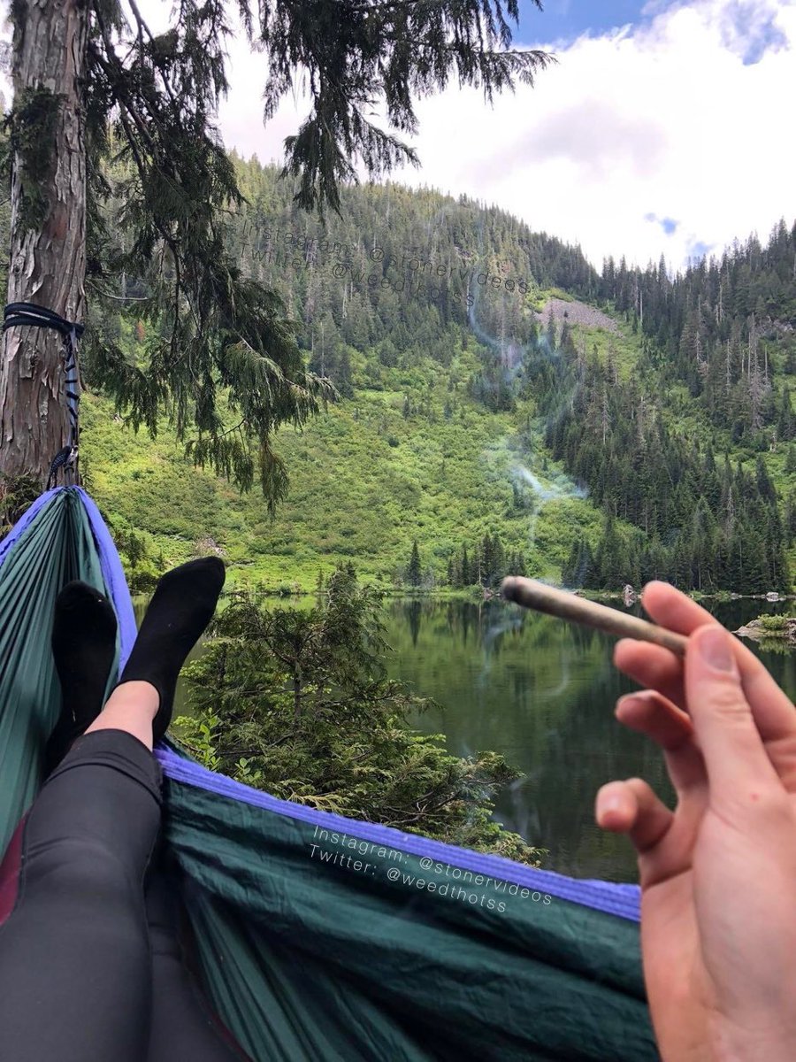 weedthotss's tweet photo. stoners be like “I know a spot” https://t.co/sWwlpGvUsl