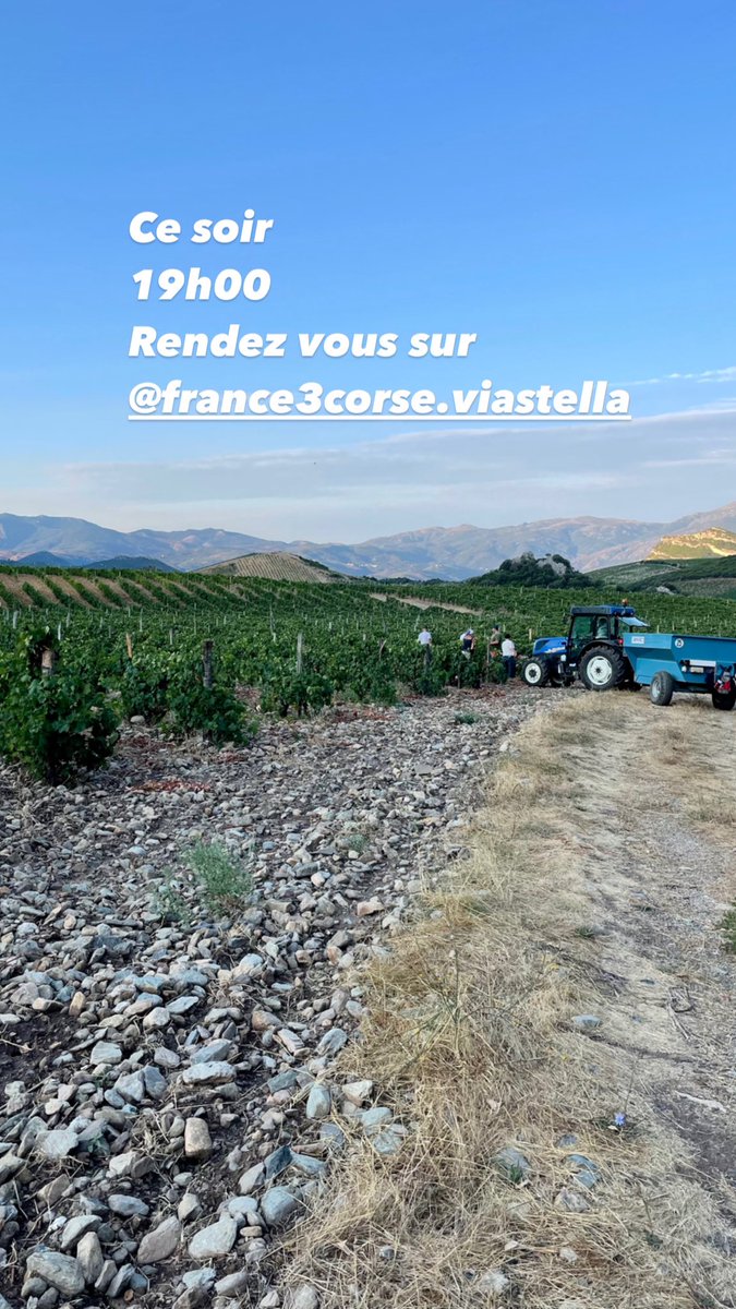 frout's tweet photo. Ajoutez-moi sur Snapchat ! Nom d'utilisateur : mlledevichi https://t.co/97HZGrMYUF https://t.co/gfbbP85Jaq