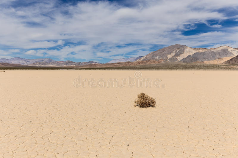 petraphobic's tweet photo. dsmp during           dsmp the second
the summer            september starts https://t.co/rkk2riBmsT