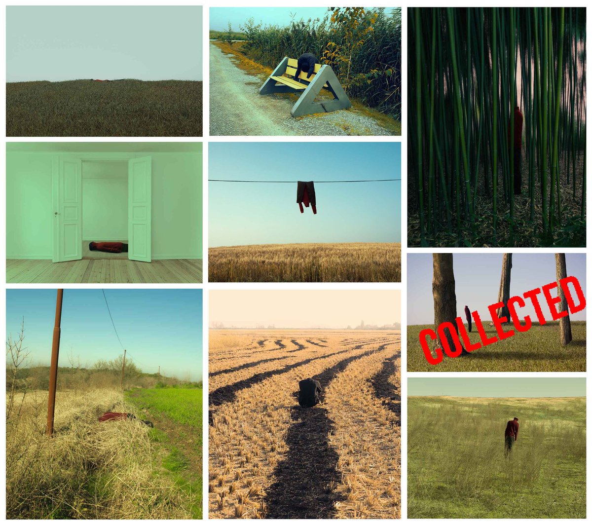 @shquibble <a href="/magicalords/">Magicalords.eth🪄New Drop🚨</a> <a href="/Mehrdadfathi17/">Mehrdad fathi📷</a> <a href="/ali_taghvaei/">Ali Taghvaei</a>