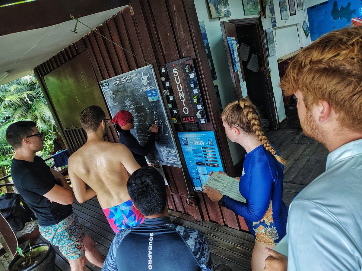 divedownbelow's tweet photo. Go pro interns learn & absorb knowledge in the #realworld setting of the #downbelowdivecentre as they prepare for the #idc with resident #padi #platinumcoursedirector #richardswann join them & become a #padiinstructor WhatsApp 0128661935 for details #instructordevelopmentcourse https://t.co/8D1k9ynhQe