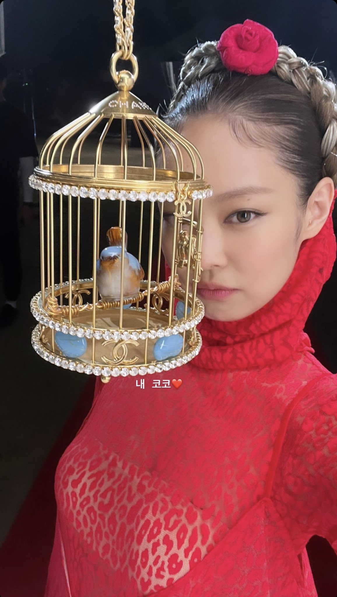 ⋆ on X: jennie with her $25k chanel bird cage bag.   / X