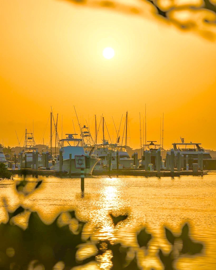 marcgraue's tweet photo. Just like livin in Paradise… because it is! If you’re an “Ocean Hound” then you get it!! #lifeisgood #voiceover #volife. #livinthelife #wakeupwithasmile #votalents #enjoyeveryday https://t.co/dN47YKbC9d