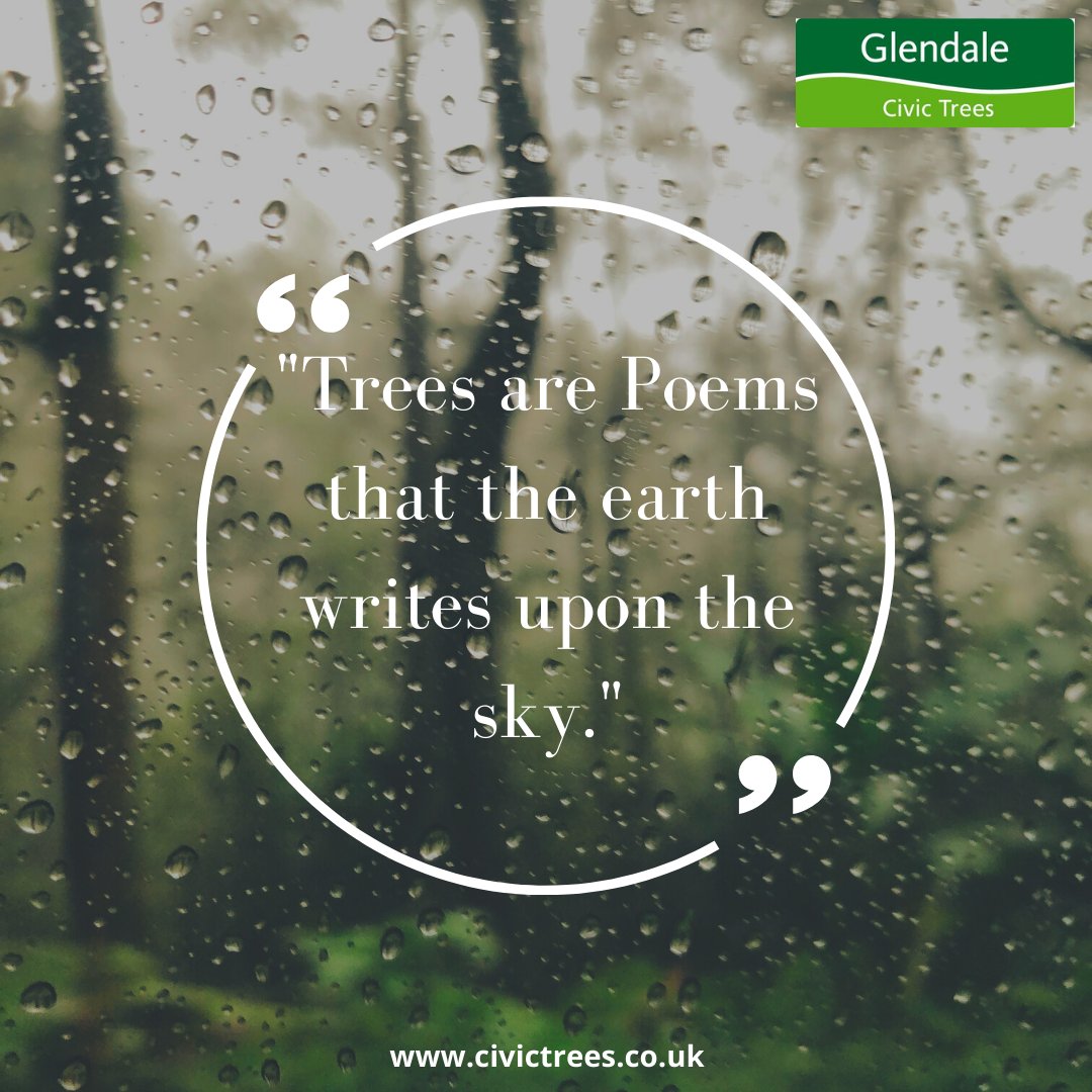 civictrees's tweet photo. "Trees are Poems that the earth writes upon the sky."
.
.
Contact:
Call - 0208 950 4491
Contact us - https://t.co/mBuUjLQL21
Location - Tree House, Houndswood Gate, Harper Lane, Radlett WD7 7HU
.
.
#civictrees #motivationalquote #treequote #tree #plant #plants #beautifultree https://t.co/zHw9t3KCxH