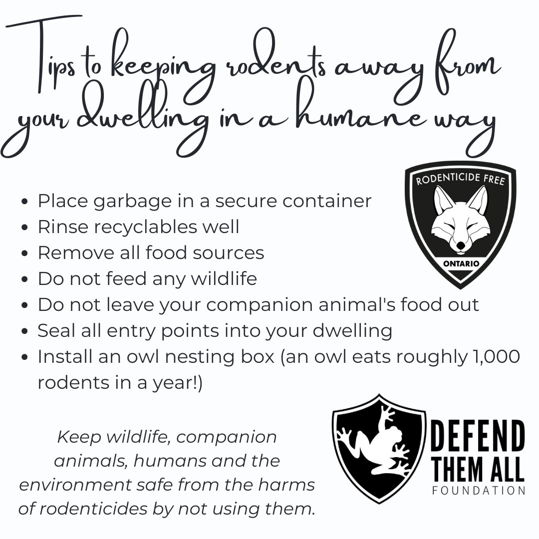 Rodenticide Free Ontario (@RFOntario) / Posts / X