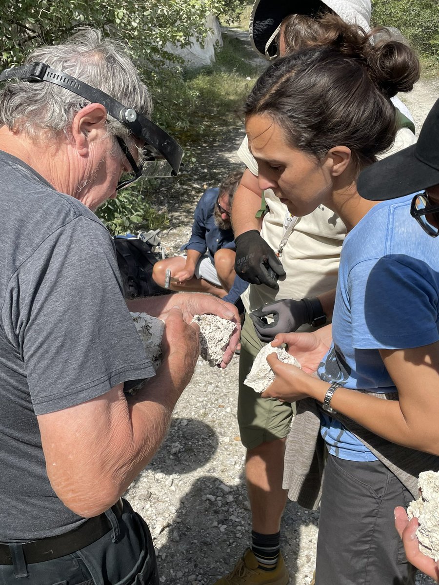 Today we replaced the offices with a retreat to the fascinating surroundings at #Faxe Limestone Quarry in the search for fossilized crabs, molluscs and the highly sought-after shark teeth 🦈🐚🔍 Thanks to experts Sten Lennart and <a href="/AmpyxGlaber/">Christian Mac Ørum</a> for excellent guidance!