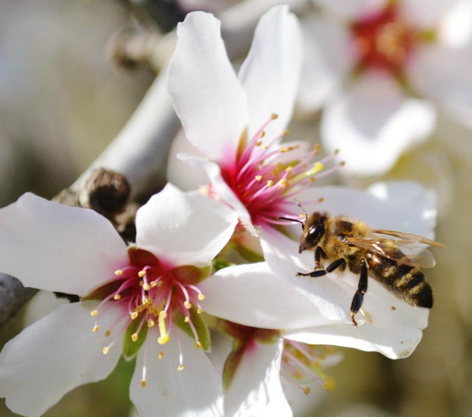 Danny Royer tweet media