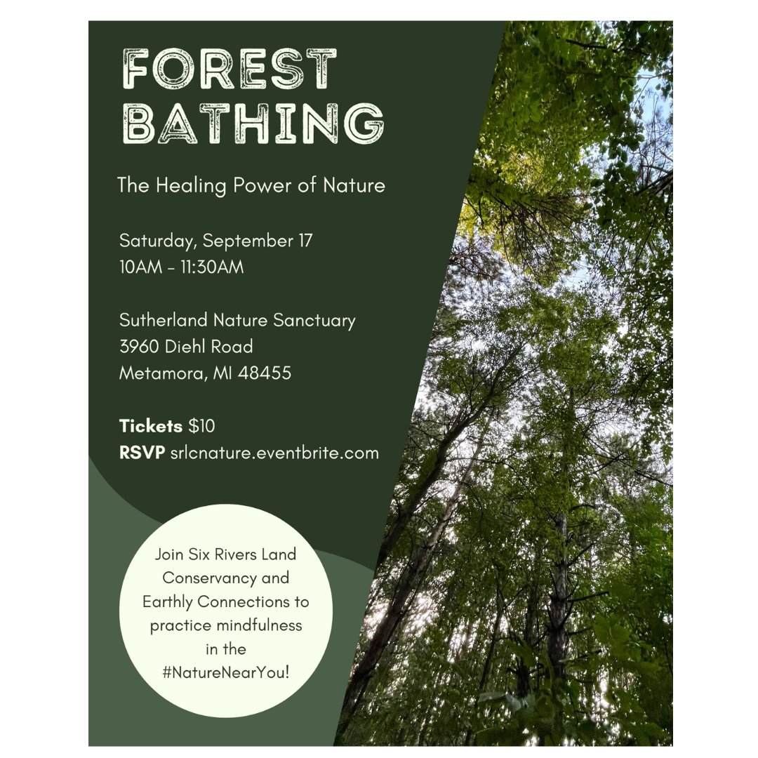 SixRivers's tweet photo. Have you heard about "Forest Bathing"? The practice encourages people to simply spend time in nature and practice mindfulness. Join Six Rivers and Earthly Connections on Sat., Sept. 17 at the Sutherland Nature Sanctuary in Metamora to learn the basics! Tickets are just $10! https://t.co/IdOR1mQXnC