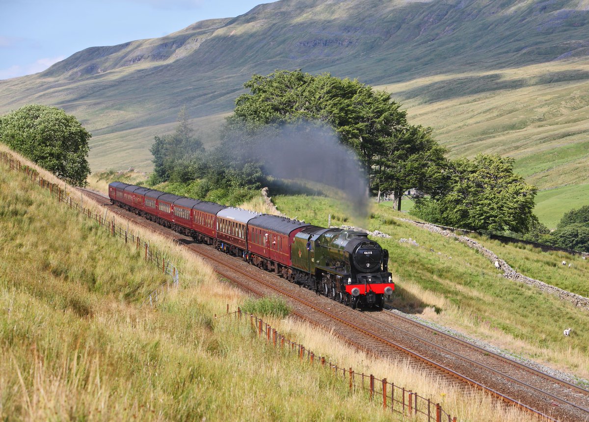 Steam Dreams Rail Co tweet media