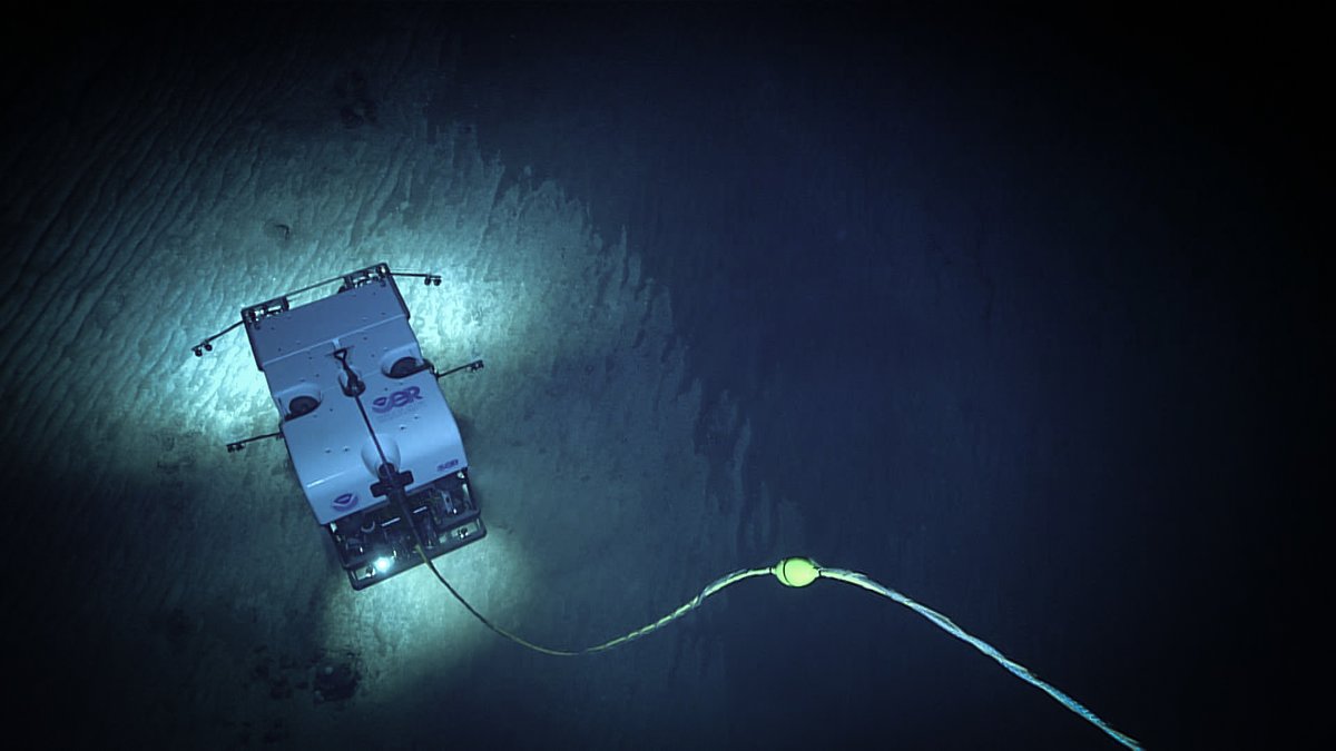 Good news -- we'll soon be back for more ROV dives! After a brief port stop in Puerto Rico, we'll refocus our remaining time on U.S. waters in the vicinity of Puerto Rico and the U.S. Virgin Islands, with livestreamed ROV dives taking place 8/25-9/1. Join us then!
#okeanos