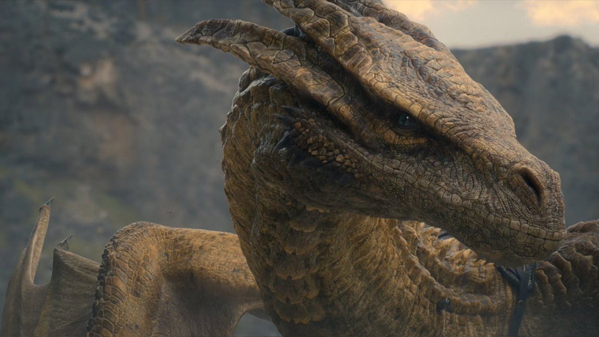 westerosies's tweet photo. Syrax #HouseoftheDragon #HOTD https://t.co/6GdvEjL8ok