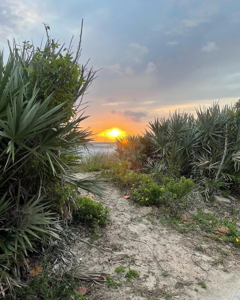 FlyDAB's tweet photo. We take golden hour very seriously in Daytona Beach! ☀️ Don't forget to send in your submissions to our 'Wish You Were Here' Postcard Program.
📸: ??
#DaytonaBeach #FlyDABSummer https://t.co/ulbxOOe5CT