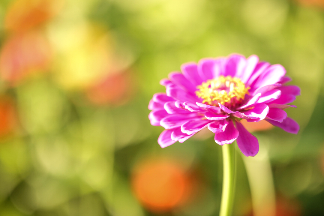 JennaM_Photo's tweet photo. https://t.co/rbRMWlac1R