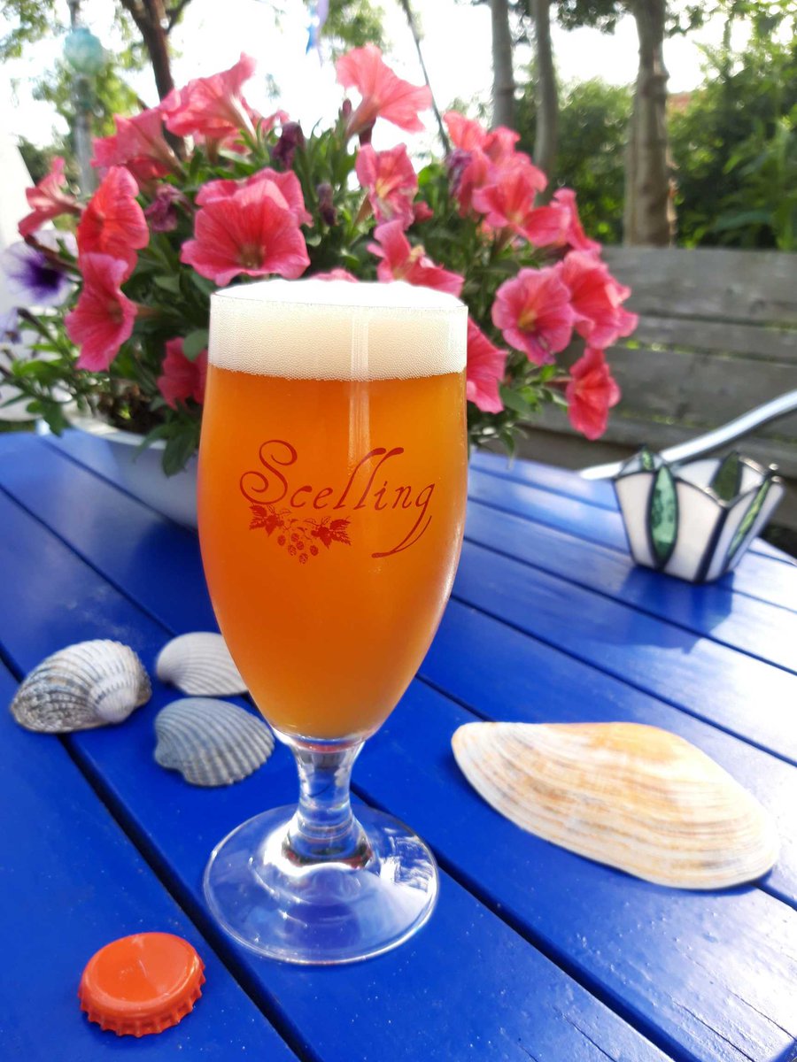 Duindoorn Tripel op Terschelling.