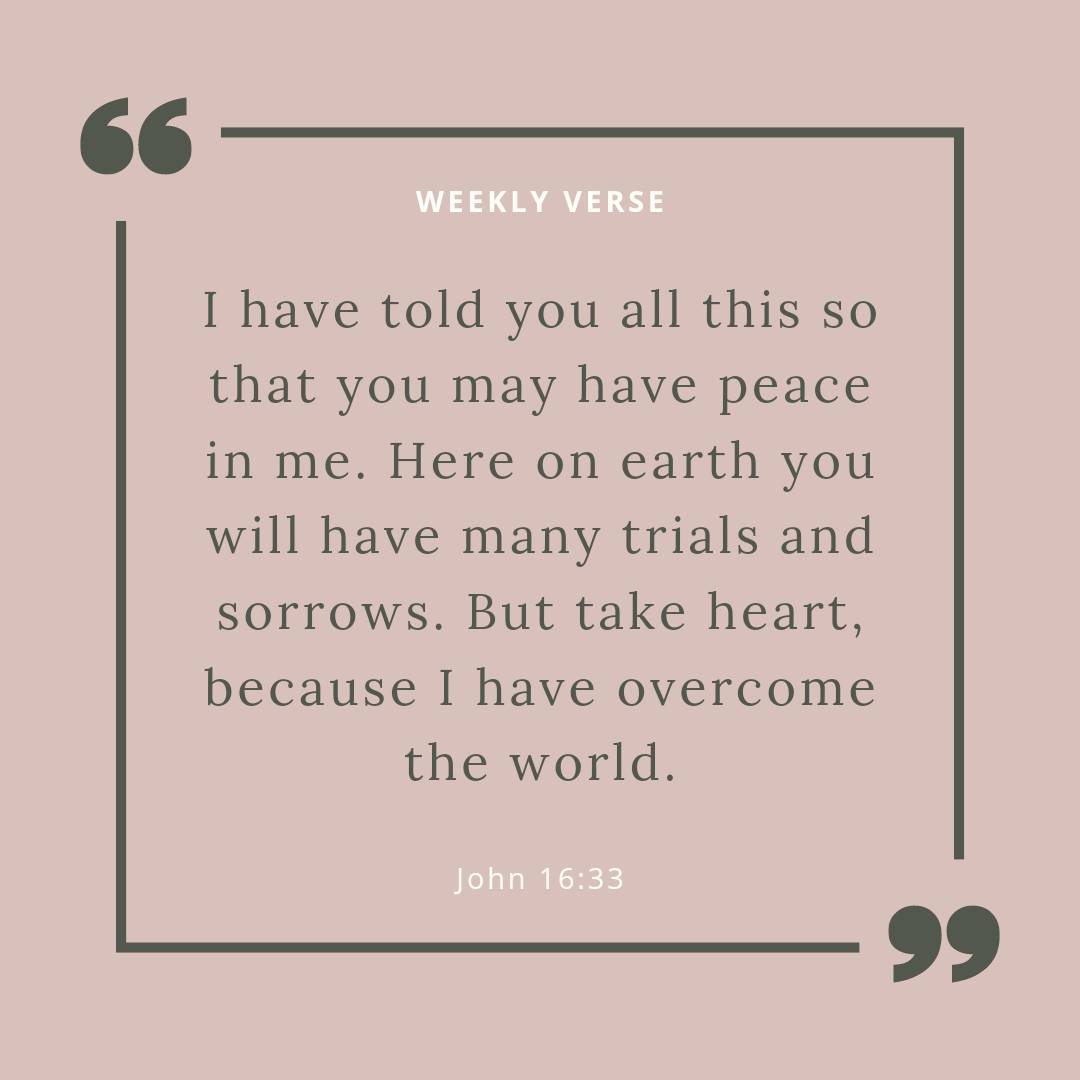 RarePRFirm's tweet photo. Happy Monday ❤️💜

#WeeklyVerse #Bible #BibleVerse #Inspire #Motivate #Love #RareAndAuthentic #Author #BookLover #SpreadJoy #BeKind
Rare and Authentic https://t.co/Vad2WIJzQ7