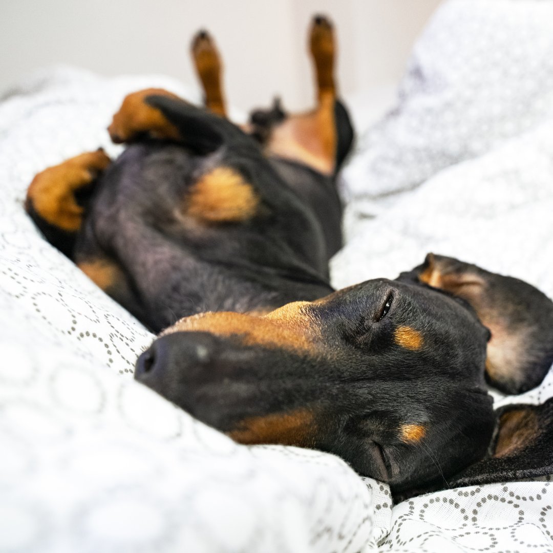 Curbicus tweet media