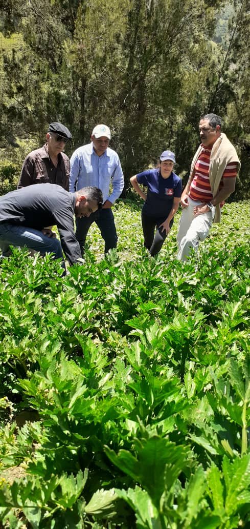 @FEDEAGRODIGITAL continúa el acompañamiento a sus asociaciones, con el objetivo de fomentar las capacitaciones en cada región y promover la buena práctica de la horticultura. Reunión APROPATACHIRA, COOPAC, UPARA Edo. Táchira.