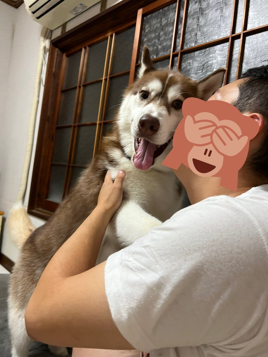 irohasubanzai's tweet photo. パパとイチャイチャすんな‼️（嫉妬） https://t.co/b1WqtCtzAt