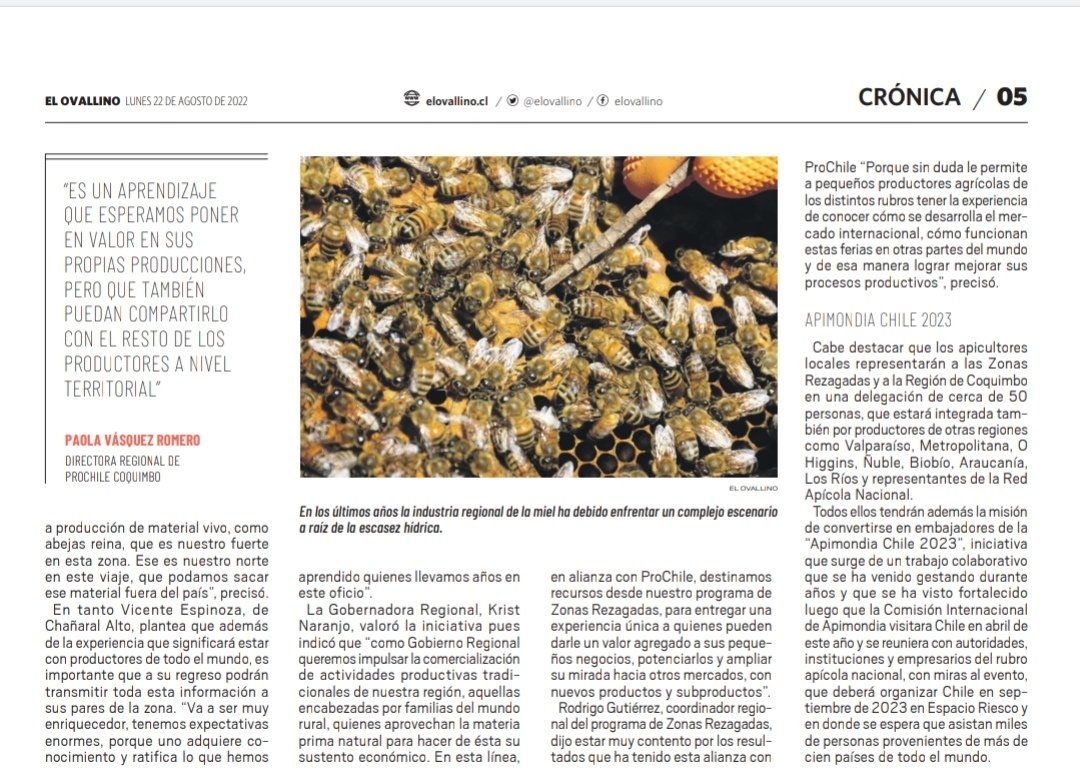 gorecoquimbo's tweet photo. ✅[Prensa] @elovallino y @eldia_cl destacan apoyo de @ProChile #Coquimbo a través del Programa de #ZonasRezagadas financiado por nuestro Gobierno Regional, para que #Apicultores🐝
de #MontePatria participen en #Apimondia2022 el más importante evento internacional en este sector. https://t.co/lKJJDSe8n6