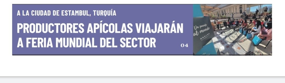 ✅[Prensa] <a href="/elovallino/">Diario El Ovallino</a> y <a href="/eldia_cl/">Diario El Día</a> destacan apoyo de <a href="/ProChile/">ProChile</a> #Coquimbo a través del Programa de #ZonasRezagadas financiado por nuestro Gobierno Regional, para que #Apicultores🐝
de #MontePatria participen en #Apimondia2022 el más importante evento internacional en este sector.