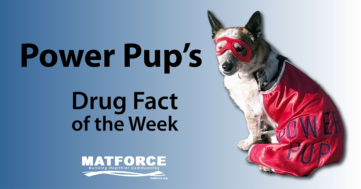 MATFORCEAZ's tweet photo. Did you know?
Cigarette #smoking can cause immediate damage to your #health. Each puff of #cigarette smoke contains a mix of over 7,000 chemicals.
Learn more:
https://t.co/J9KetwZNdO
https://t.co/pE7ROsr82R
#PowerPup
#drugfact
#tobacco https://t.co/tCIKBgZmii