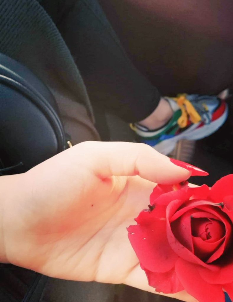 مساء الورد💋