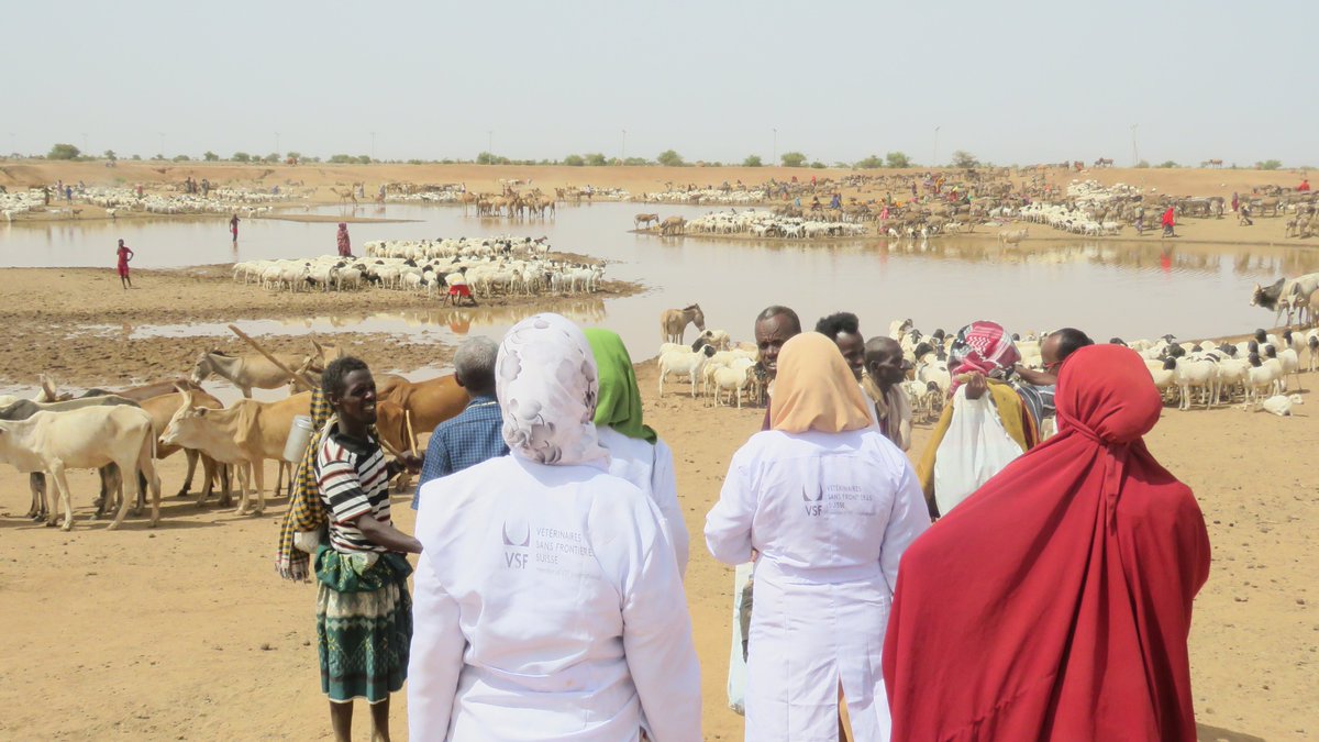Promoting paid vaccination service while empowering women; field visit to @VSFSuisse #innovation4resilience @EthiopiaEU <a href="/CordaidEth/">Cordaid Ethiopia</a> <a href="/FandSEthiopia/">Fair & Sustainable Ethiopia</a> 
More: facebook.com/Innovation.4.R…
