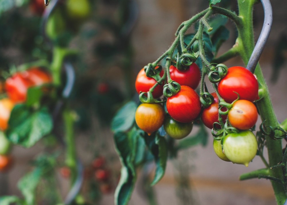 Environment911 tweet media