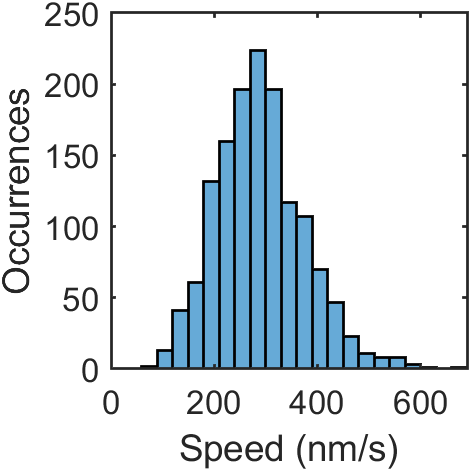 AntaniJo's tweet photo. Apparently this is cutting edge: the instructors @OMIBS_MBL say measuring the speeds of EB1 would have been very VERY difficult 5 years ago! 

Here are over 1400 trajectories obtained within minutes and a speed histogram.. https://t.co/1z2S0skyoI