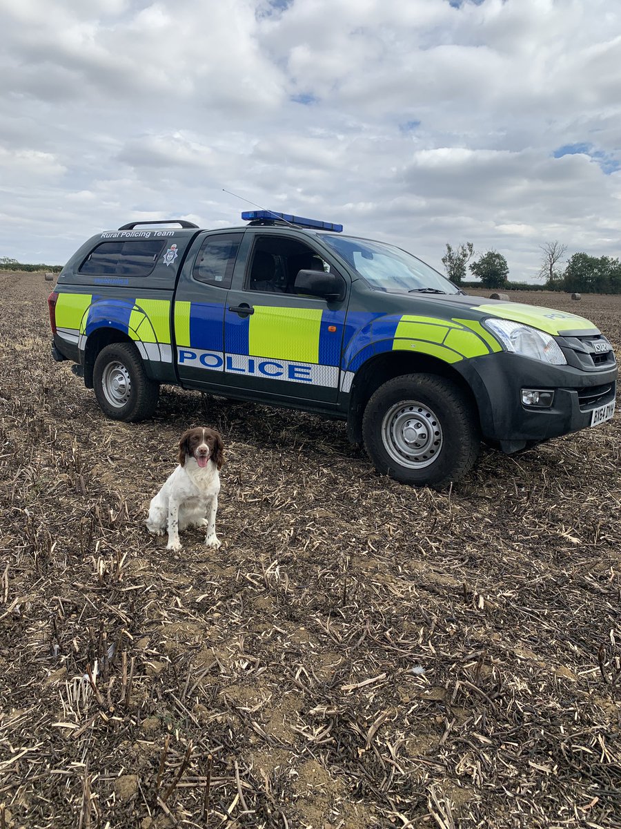 Our and about in the South of the county today. Came across this little chap….don’t worry he has an owner!
