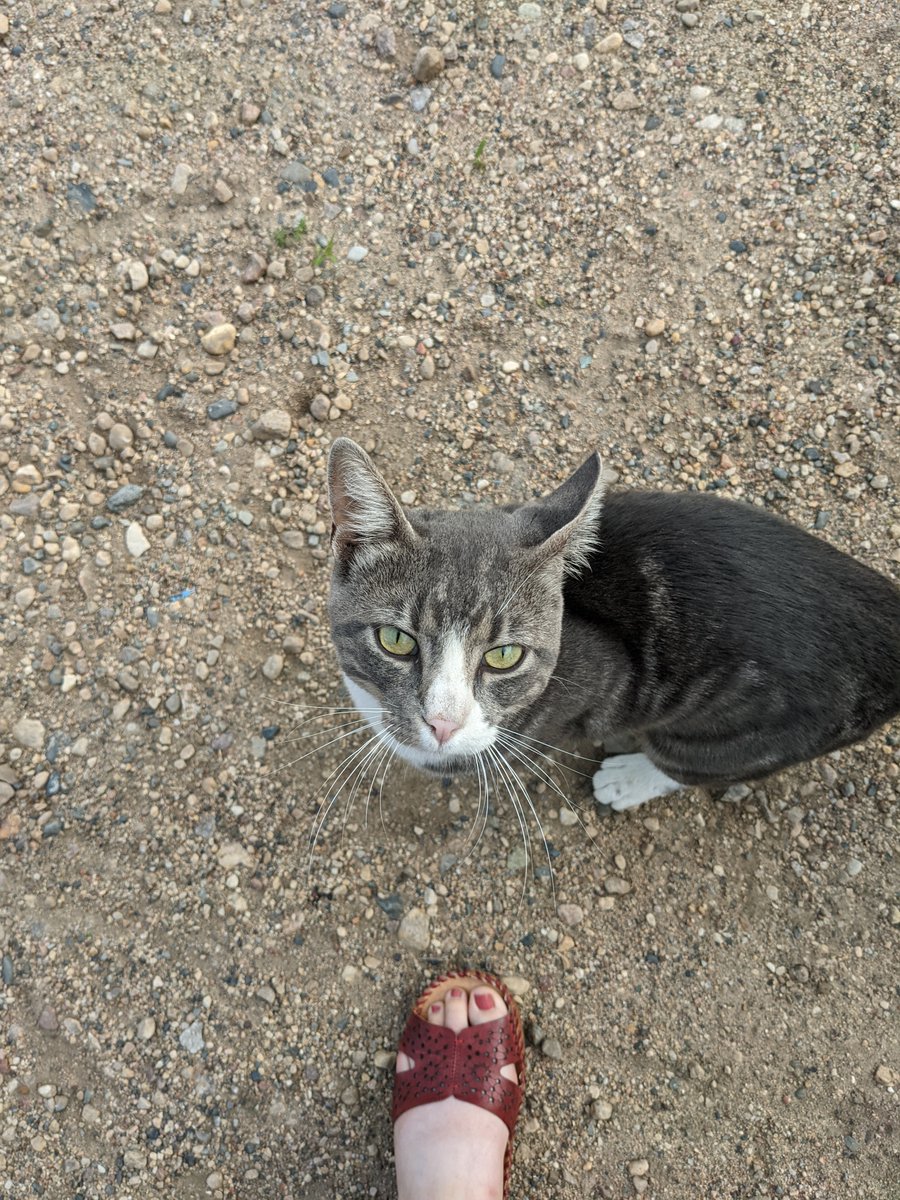 Project Optimist tweet media