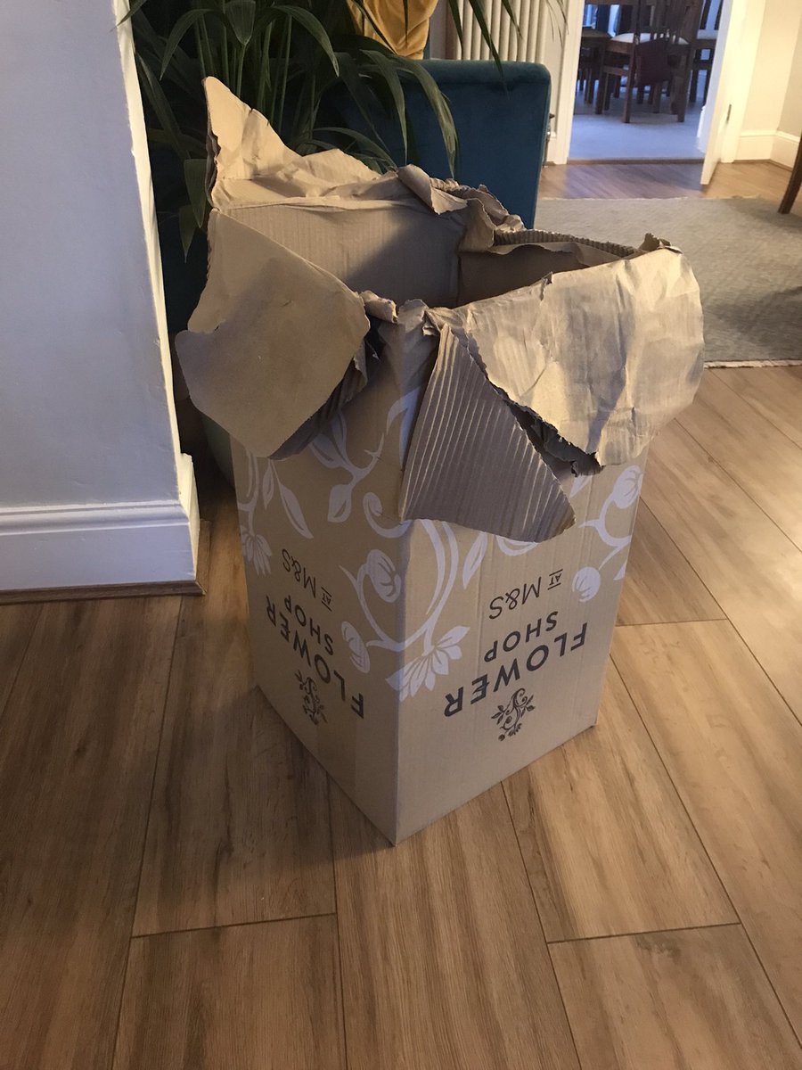 bestofthewest's tweet photo. @marksandspencer @marksandspencer Arrived with disintegrated bottom of box,card missing, flowers bit battered. 
Had to phone to find out who from. 
Unable to resend message to me even by email!
After complaint they are sending again but can only send them when I’m on holiday
Flabbergasted! ☹️😢😡 https://t.co/NKRfDuIff5