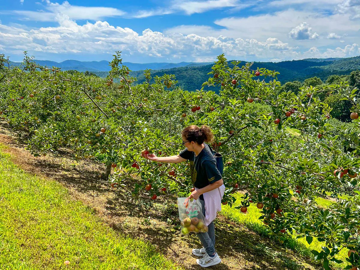 Craig Distl tweet media