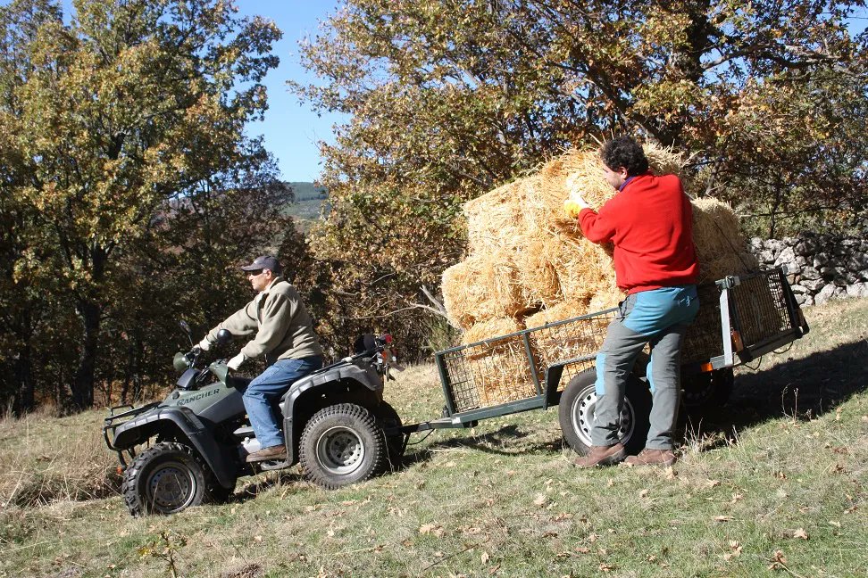 La vida en el suelo y el humus. Tipos de compost, preparación, usos y manejos recomendados
 buff.ly/36iRCoQ
