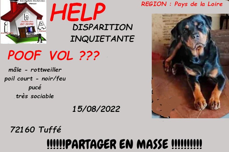 merci de RT pour nous aider a retrouver POOF disparu a Tuffé 72160 le 15/08/2022 svp si infos : 0612991244 ou au 06 20 62 03 56 CONTACT FB : facebook.com/isabelle.millo… ou MP à @Kate23170