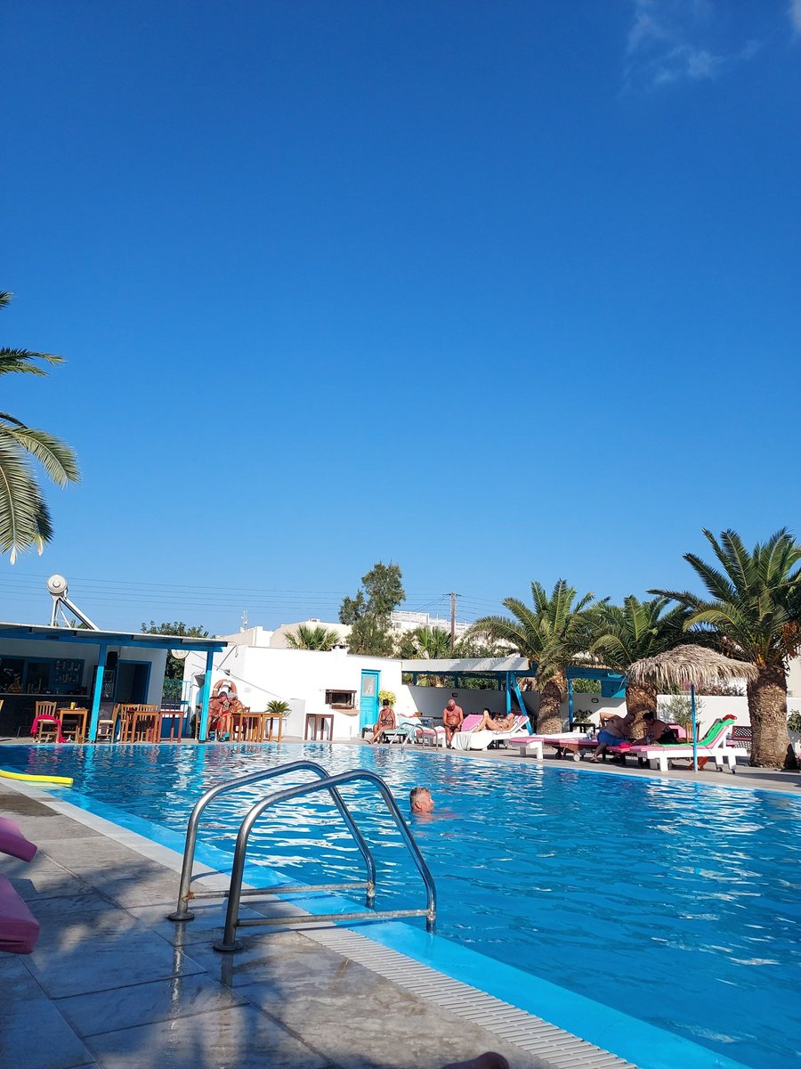 Sarah Puntis 🏳️‍🌈 tweet media