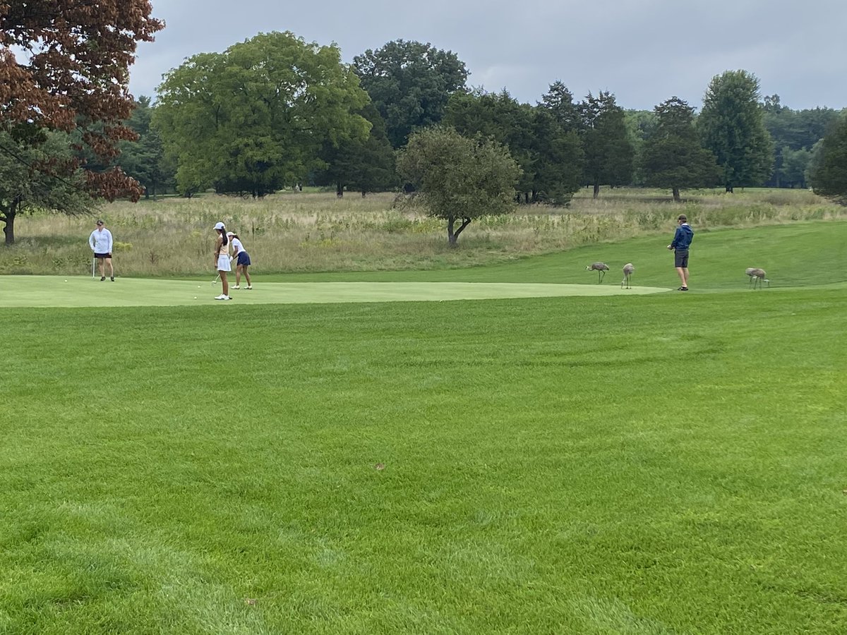 Off to a great start this morning at Kensington. And wildlife all over! <a href="/PHSWildcats/">Plymouth Athletics</a>